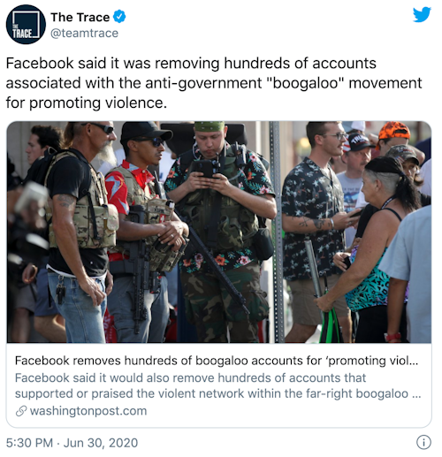 Who Are The Gun Toting Boogaloo Bois Brady